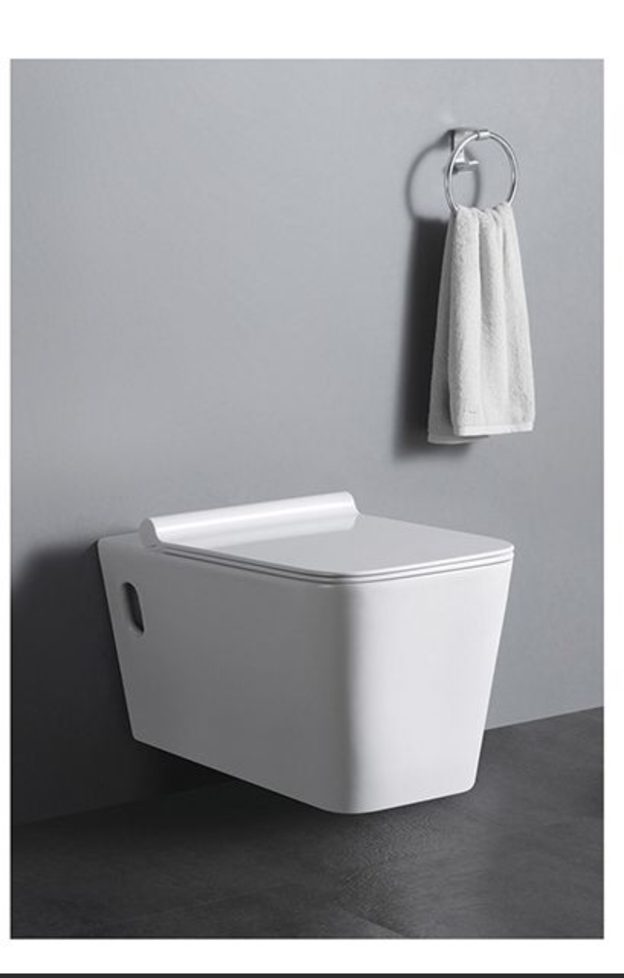 Super Executive Conduit Water Closet - Model BT365-TCT3